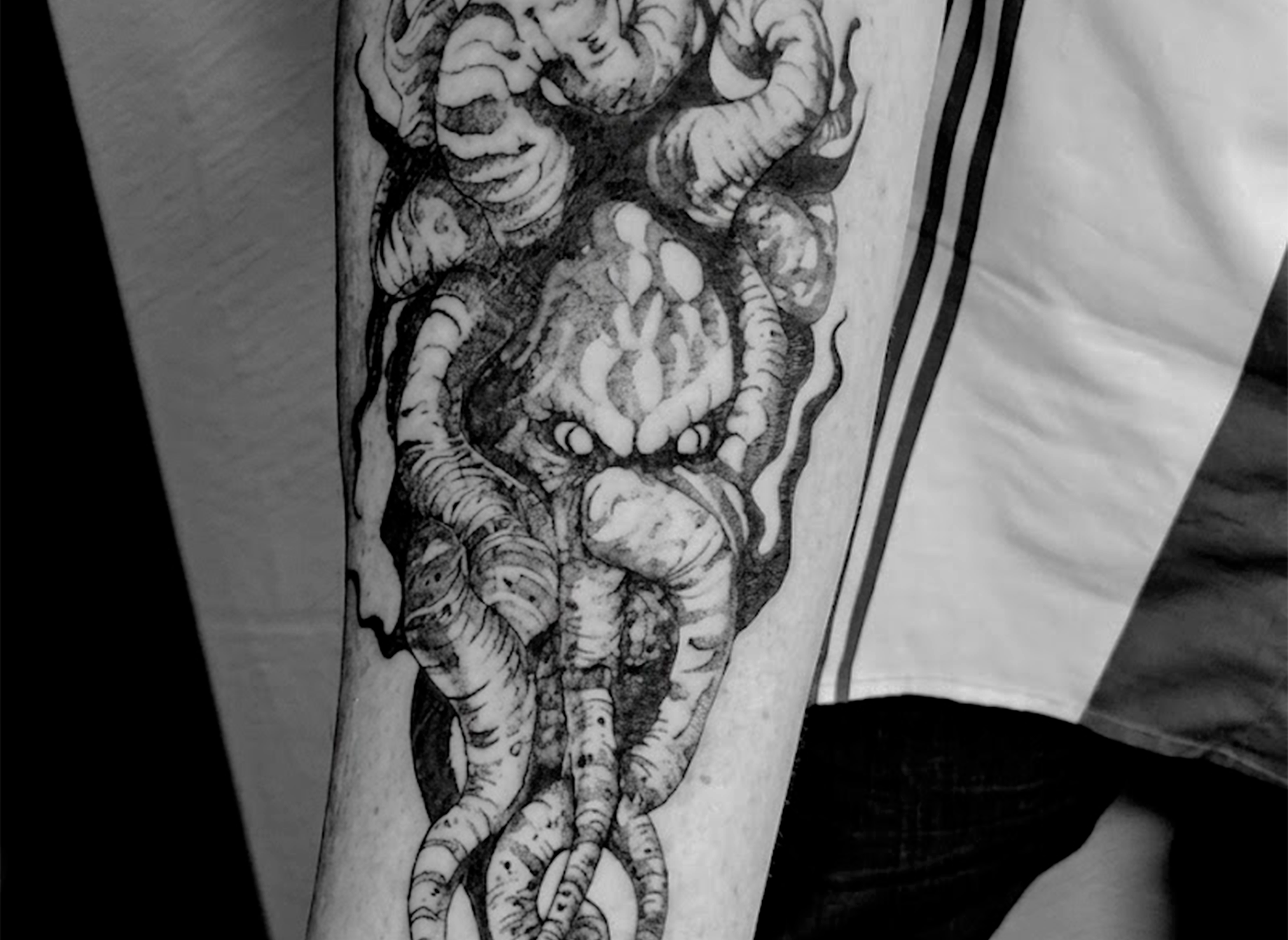 Diseño Black Work original de un pulpo para el antebrazo